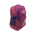 The Pink Lion Bag - Image 2
